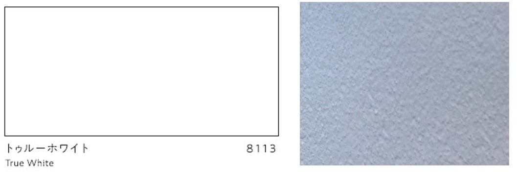 アステックペイント　トゥルーホワイト