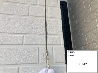 泉南市外壁塗装　阪南市外壁塗装　泉南市塗装業者　阪南市塗装業者　泉南市塗装　阪南市塗装　泉南市屋根外壁塗装　阪南市屋根外壁塗装　岬町塗装　岬町外壁塗装　岬町塗装業者　岬町屋根外壁塗装