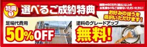 ashiba